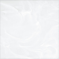 image (13)